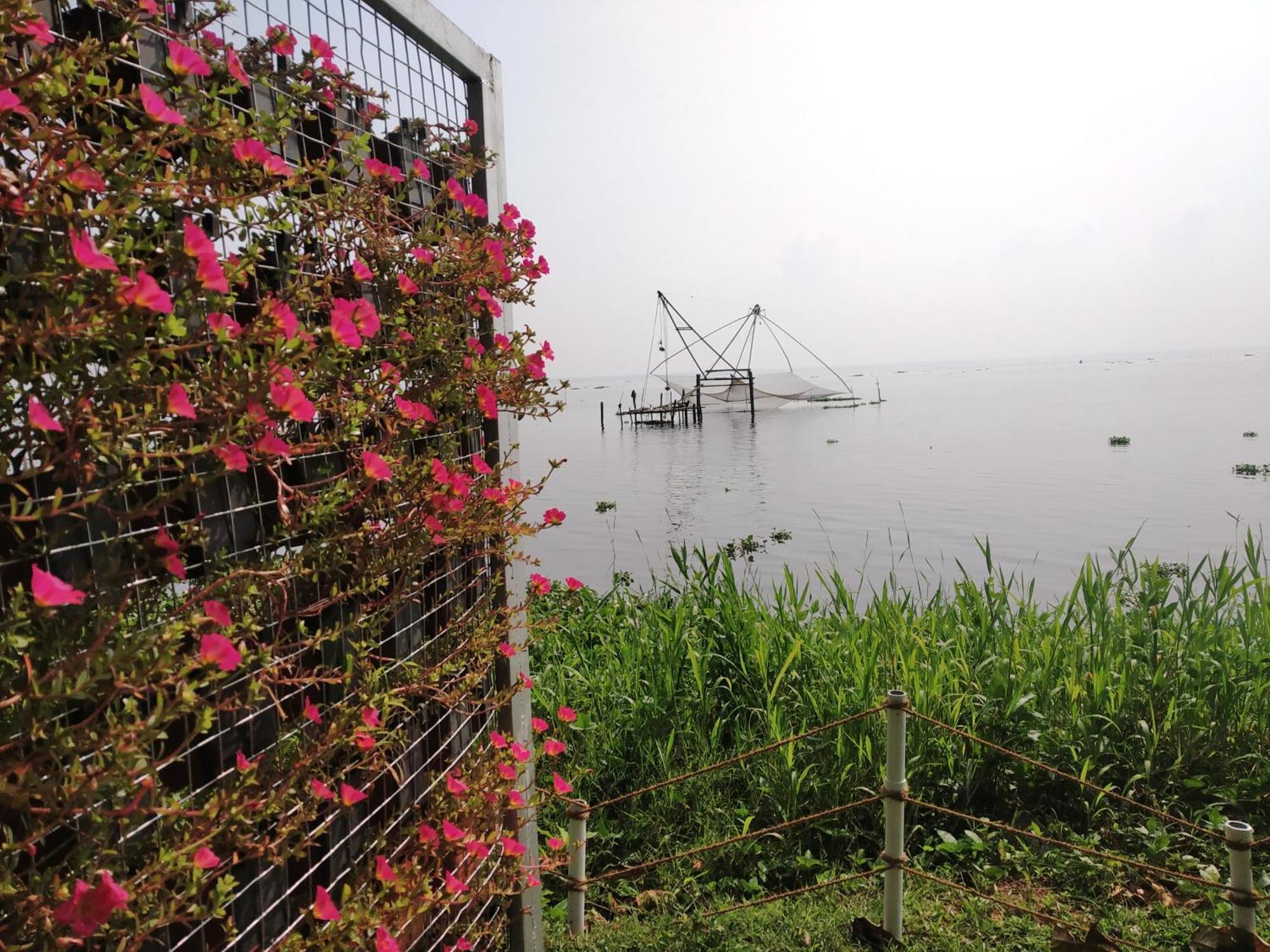 Deshadan Backwater Resort - The Best Sunrise View Alappuzha Exteriér fotografie